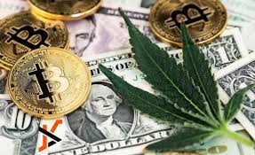 5starsstocks.com Cannabis: Exploring Opportunities in a Growing Market